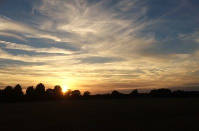 Silhouette of trees on landscape at sunset