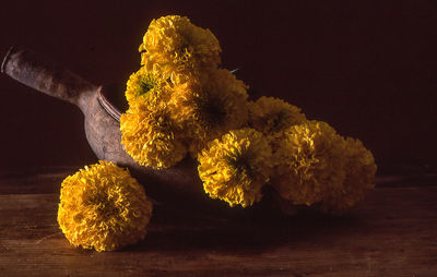 Close-up of yellow flowers on table against black background