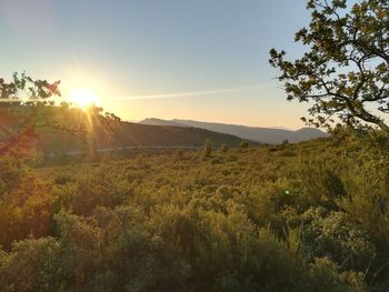 Scenic view of landscape against sky during sunset