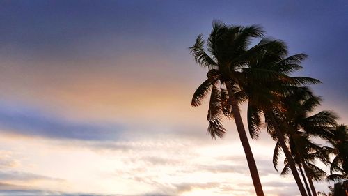 Silhouette palm tree against sky at sunset