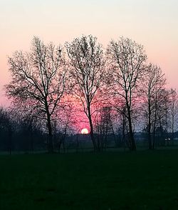 Bare trees on landscape against sky