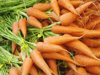 Full frame of fresh carrots for sale