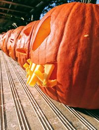 Close-up of pumpkins