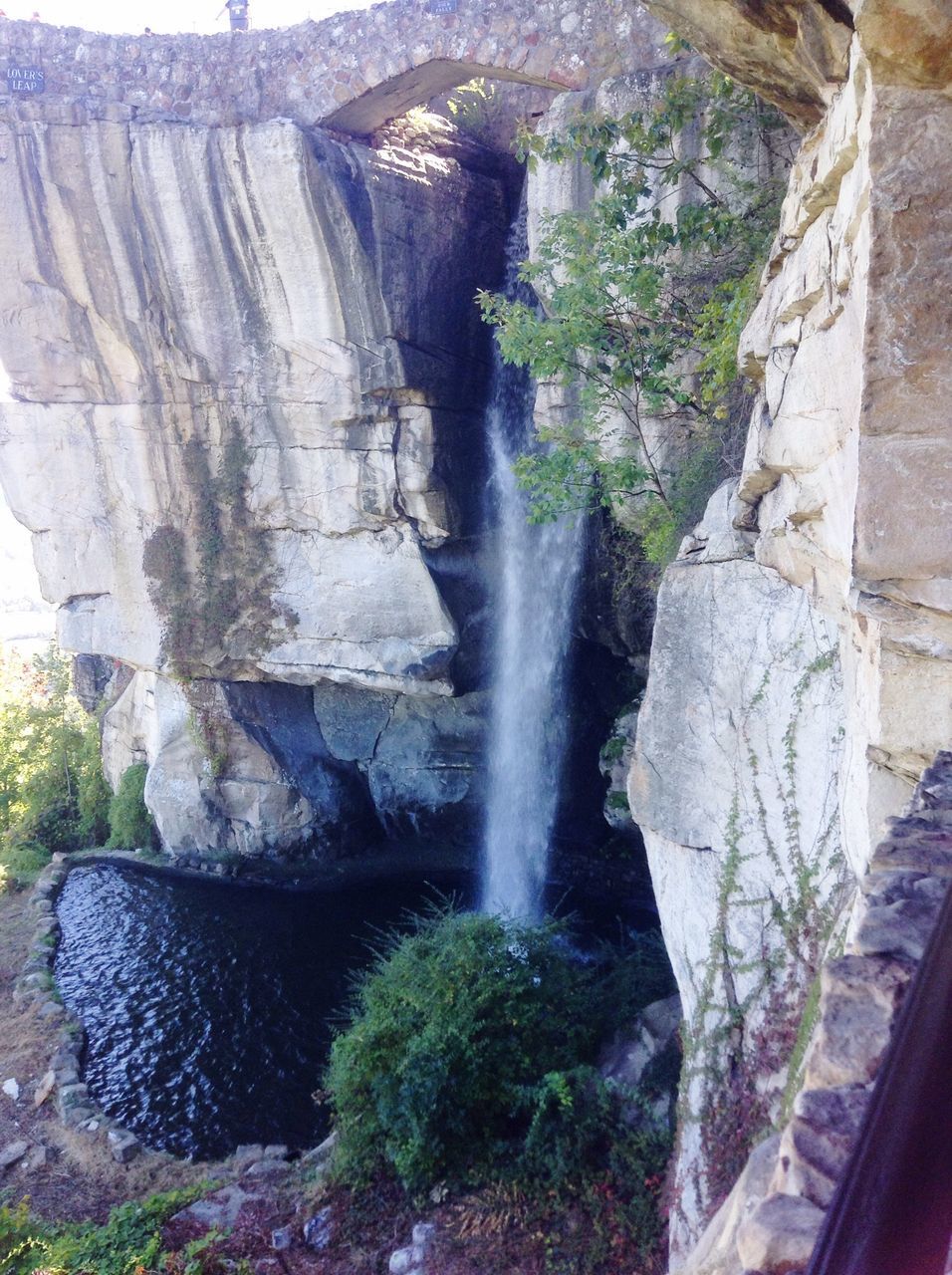 nature, beauty in nature, tree, no people, waterfall, day, outdoors, water