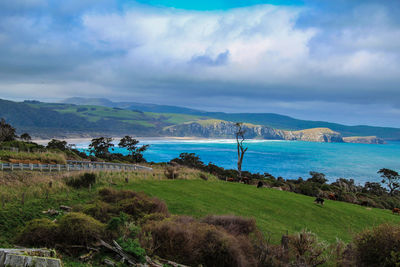 Scenic view of sea against sky