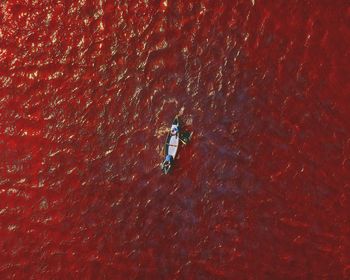 High angle view of person by sea
