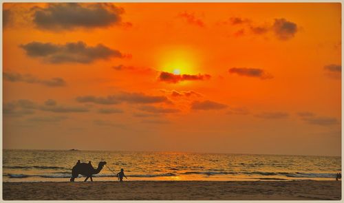 Scenic view of beach against sky during sunset