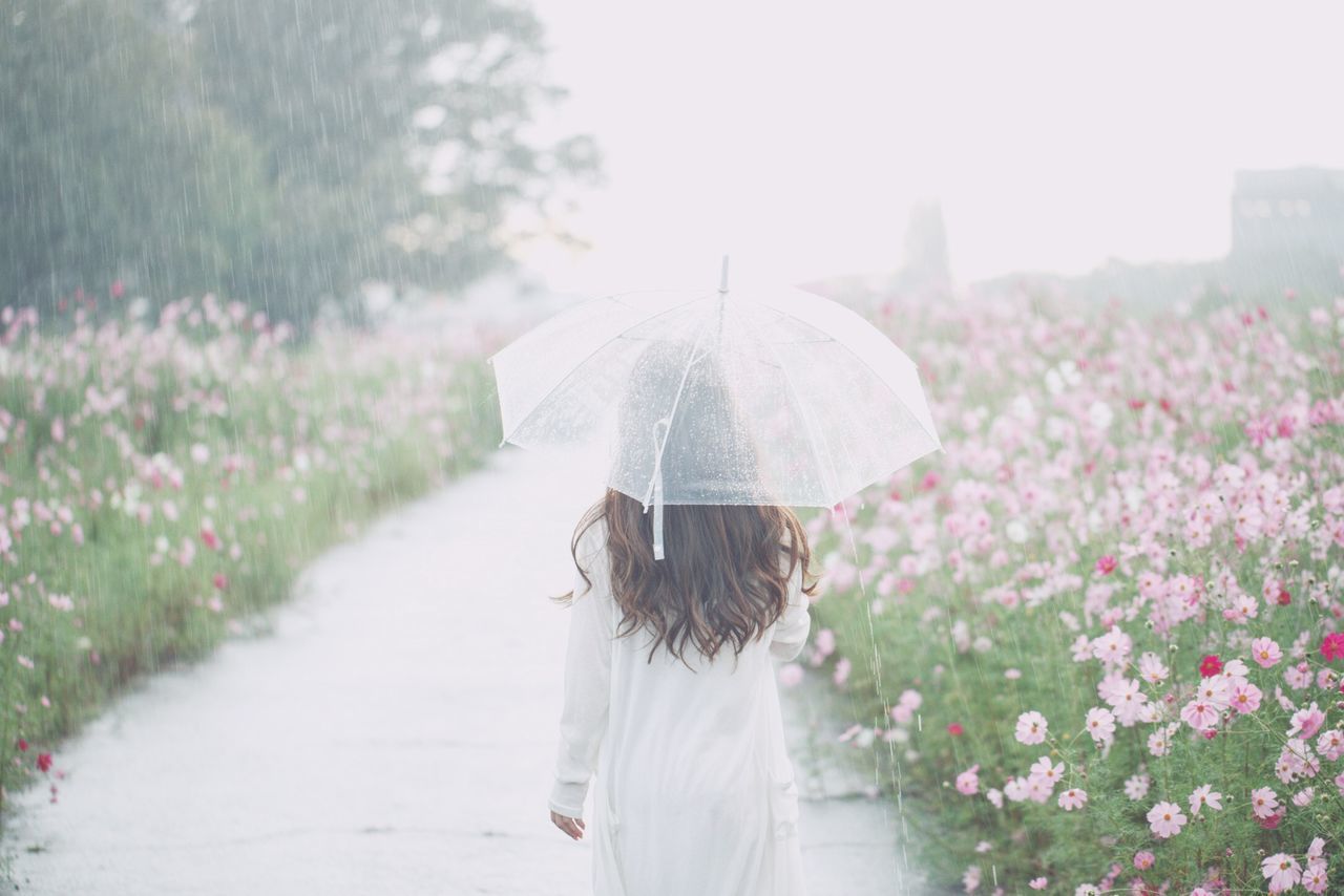 one person, real people, plant, rear view, women, nature, lifestyles, day, leisure activity, standing, umbrella, focus on foreground, growth, flowering plant, females, child, flower, walking, outdoors, rain, hairstyle, rainy season