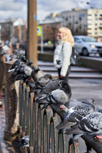 Full length of young woman with birds in city