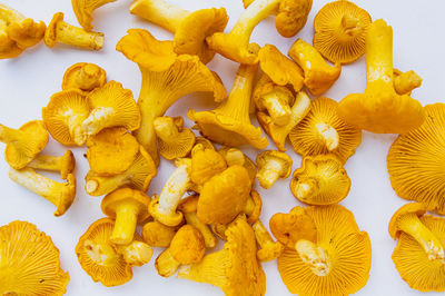 Fresh yellow  wavy vegetarian chanterelle mushrooms with beautiful texture on white background 