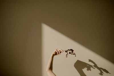 Shadow of hand on wall at home