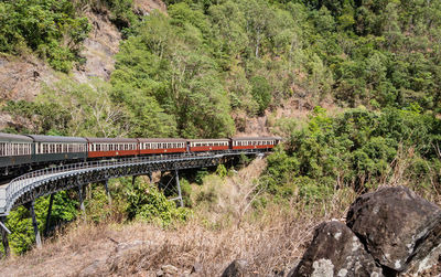 Train on railroad bridge amidst trees