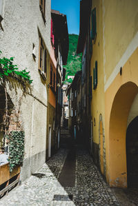 Alley amidst buildings