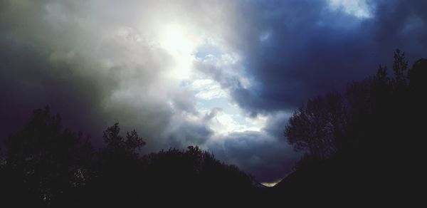 Low angle view of silhouette trees against sky