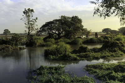 Scenic view of lake against sky