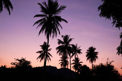 Silhouette palm trees against sky during sunset