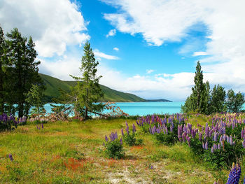 Scenic view of beach against sky