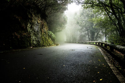 Empty road amidst trees in forest