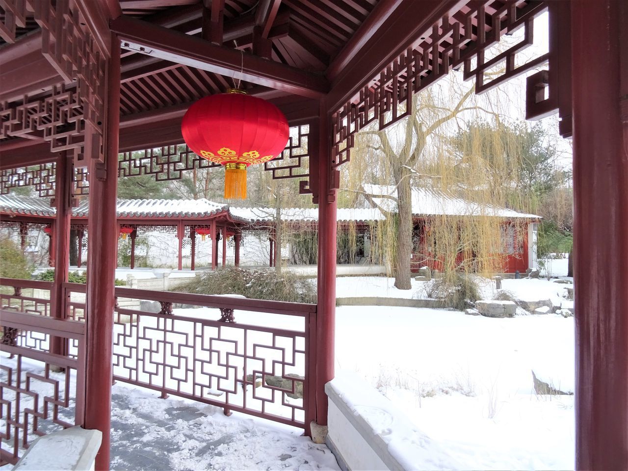 LANTERN HANGING ON SNOW COVERED TREE AGAINST BUILDING