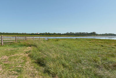 Scenic view of field against clear sky