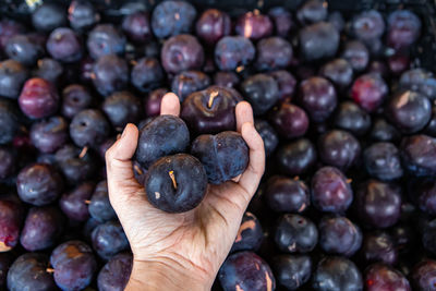 Close-up of hand holding berries