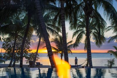 Rear view of man standing on beach at dusk