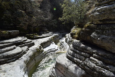 Scenic view of waterfall in forest