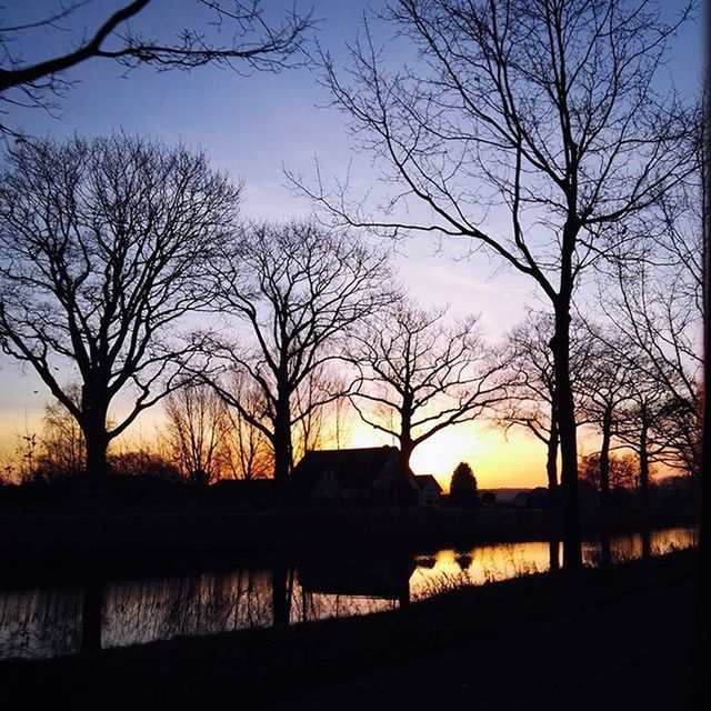 bare tree, silhouette, sunset, tree, water, branch, tranquility, tranquil scene, scenics, sky, beauty in nature, lake, nature, river, reflection, sun, idyllic, orange color, no people, outdoors