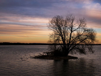 Silhouette bare tree by lake against sky during sunset