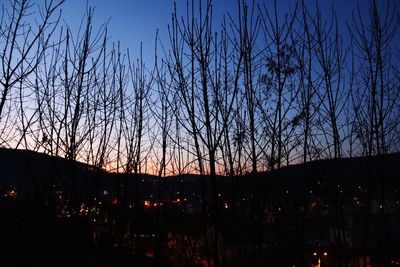 Low angle view of silhouette bare trees against sky at dusk