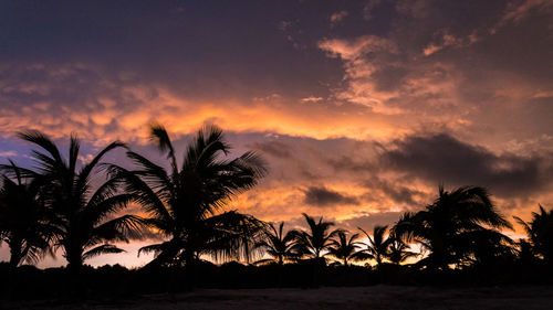 Silhouette palm trees against sky during sunset