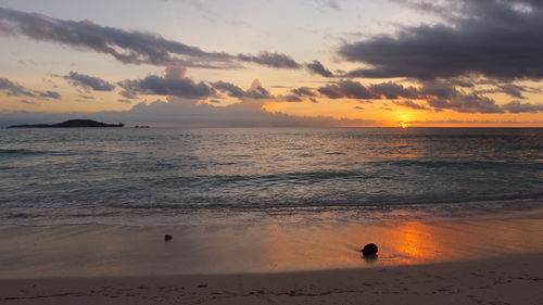 Colorful sunset on the sea, dark clouds alternate with a colorful sky, coconuts in the foreground