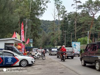 Vehicles on road against trees in city