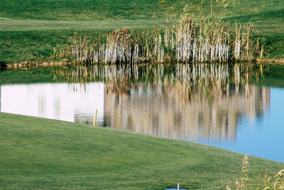 Scenic view of lake