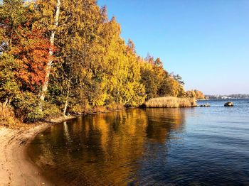 Scenic view of lake against clear sky during autumn