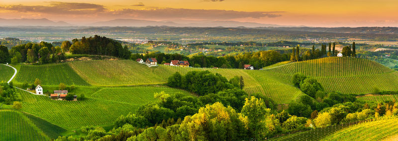 Panoramic view of agricultural field against sky during sunset