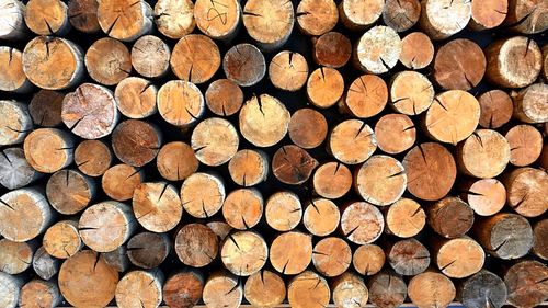 Full frame shot of logs