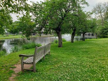 Empty bench in park by lake