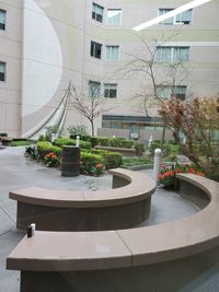 Potted plant on table by modern building