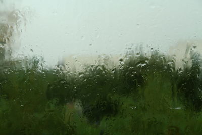 Close-up of water drops on glass