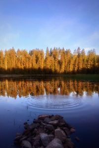 Scenic view of lake by trees against sky