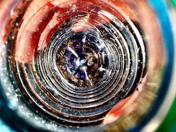 Cropped image of person holding empty water bottle