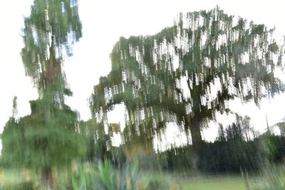 Panoramic shot of trees against clear sky