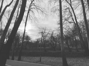 Bare trees on landscape against sky