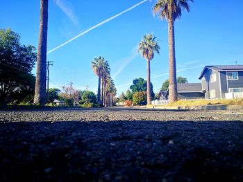 Road by palm trees and houses against blue sky