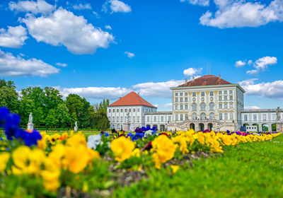 Yellow flowering plants by building against sky