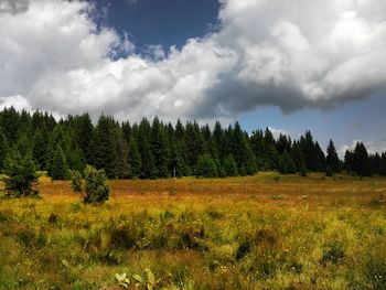 Scenic view of landscape against cloudy sky