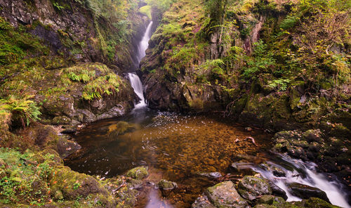 Scenic view of waterfall in forest