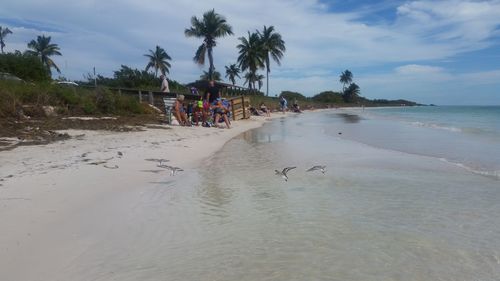 Tourists on beach