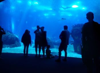 People at aquarium